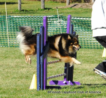 Agility