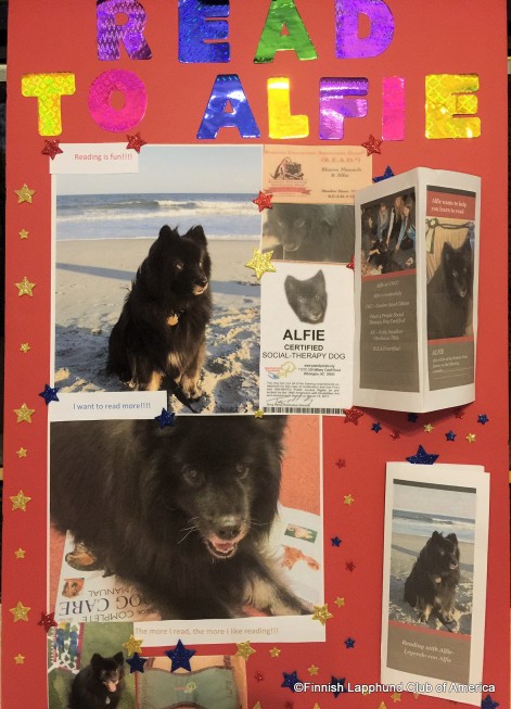 Alfie Therapy Dog Poster